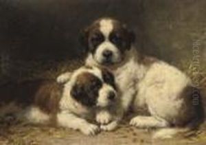 St Bernard Pups by Otto Eerelman