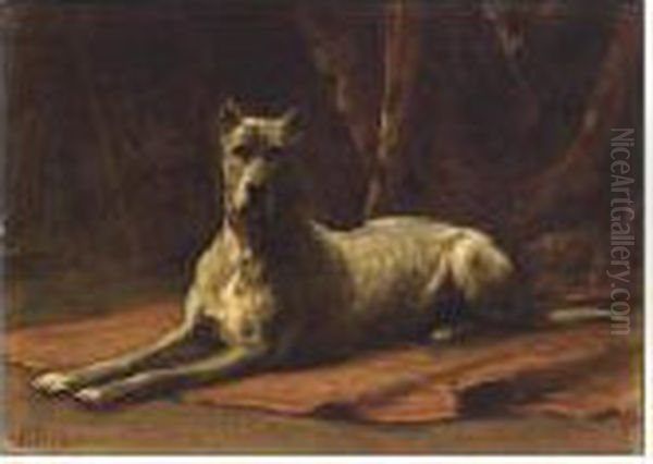 A Dog - view 1