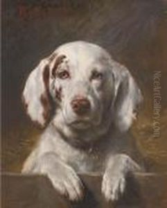 Bianco, A Hound At A Kennel Door