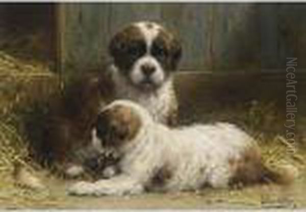 Two Saint-bernard Puppies - view 1