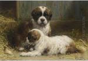 Two Saint-bernard Puppies by Otto Eerelman
