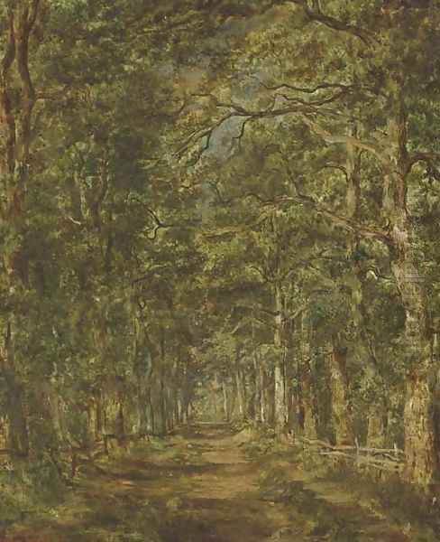 Chemin dans les bois au souliers - view 1