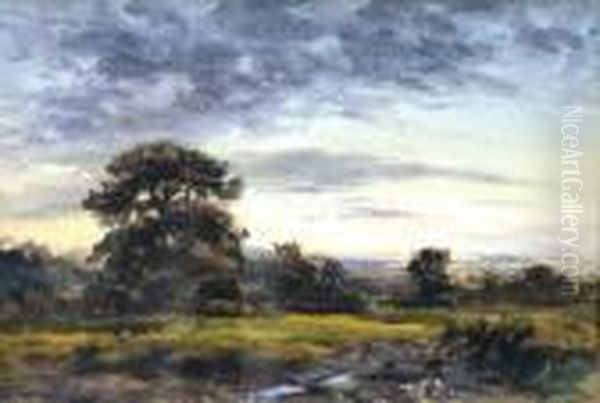 Landscape Study With Trees Rising In Background - view 1