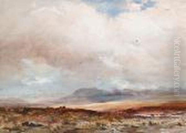 Moorland Landscape - view 1