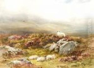 Mountain Sheep
Perthshire by Wycliffe Egginton