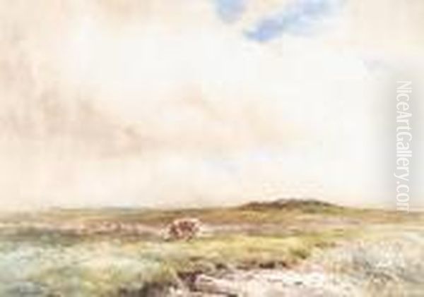 Cows In A Landscape - view 1