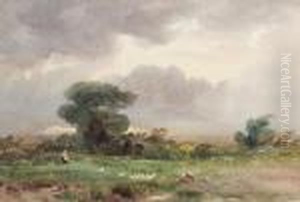 Evening On A Dartmoor Common - view 1