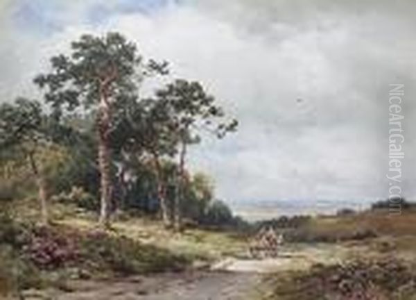 The Road Through The Woods - view 1