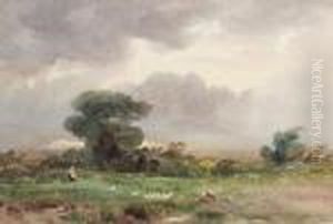 Evening On A Dartmoor Common; Evening Near Dunster, A Pair