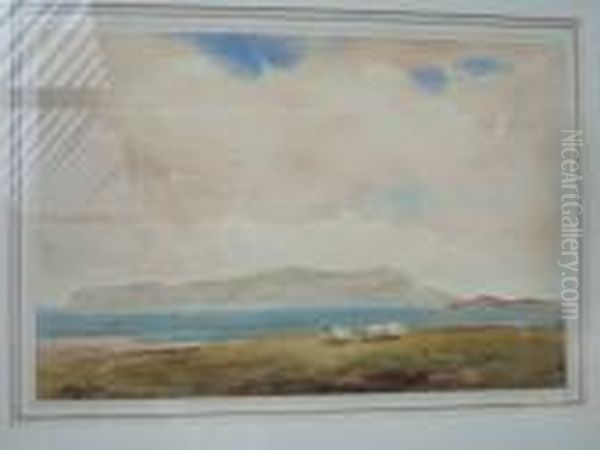Sheep Grazing In An Irish Lake Landscape - view 1