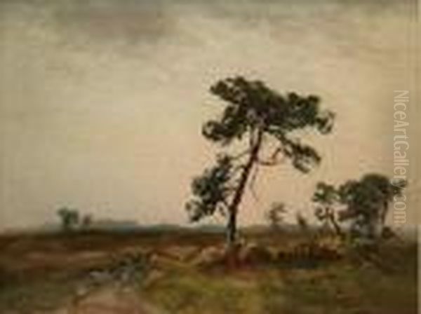 Landscape - view 1