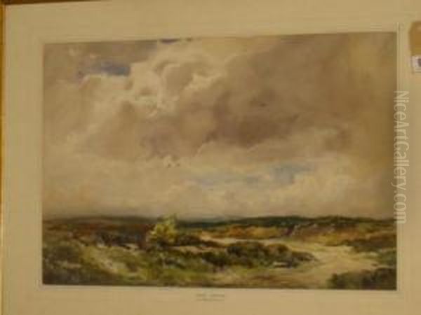 Windy Weather - view 1