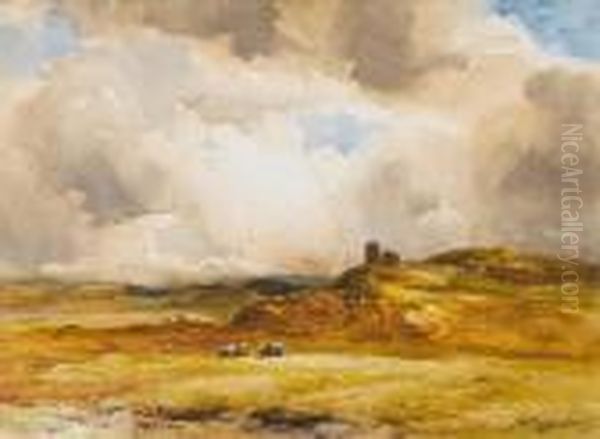 After The Storm - view 1