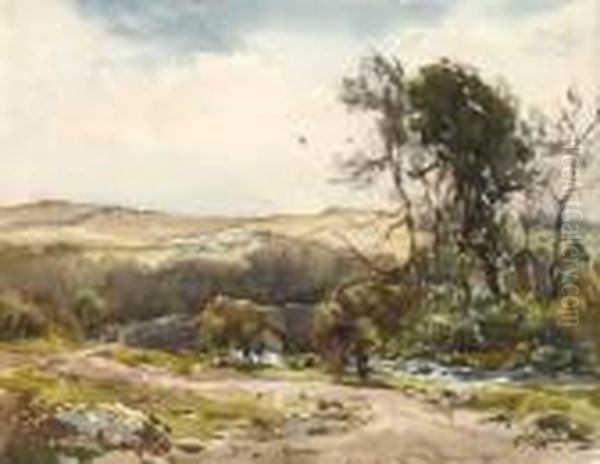 The Edge Of Dartmoor - view 1