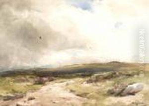 Moorland Path Moorland Path