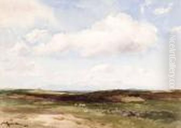 Sheep Grazing On The Moors - view 1