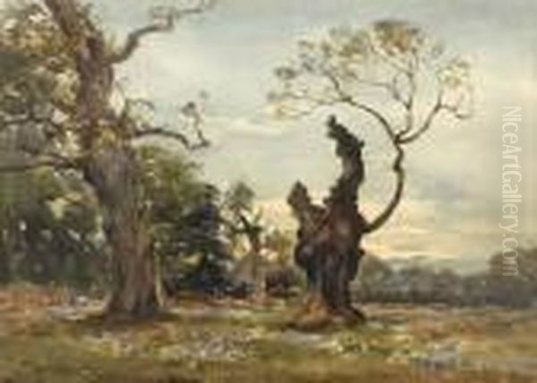 Oak Trees - view 1