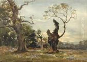 Oak Trees by Wycliffe Egginton