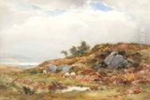 Sheep Grazing On The Moor by Wycliffe Egginton