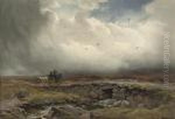 Homeward Bound - view 1