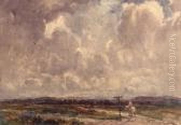 Stormy Weather - view 1