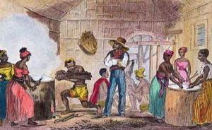 The Preparation of Mandioca Flour in the Antilles by Francois-Hippolyte Lalaisse