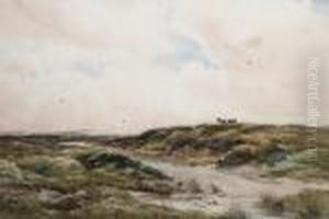 Moorland View With Ponies