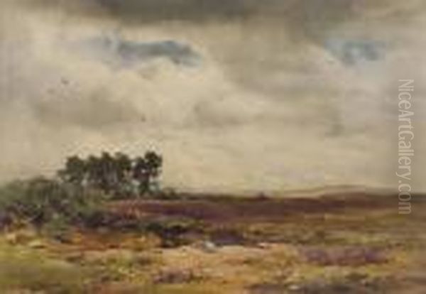 Across The Moors - view 1