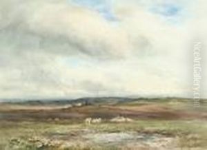 Extensive Countryside Landscape With Sheep Grazing by Wycliffe Egginton