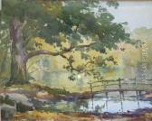 The Edge Of The Lake. - view 1