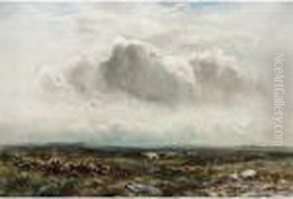 Wild Horses Grazing - view 1