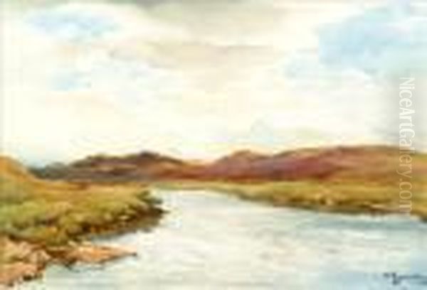 River Halladale,scotland - view 1