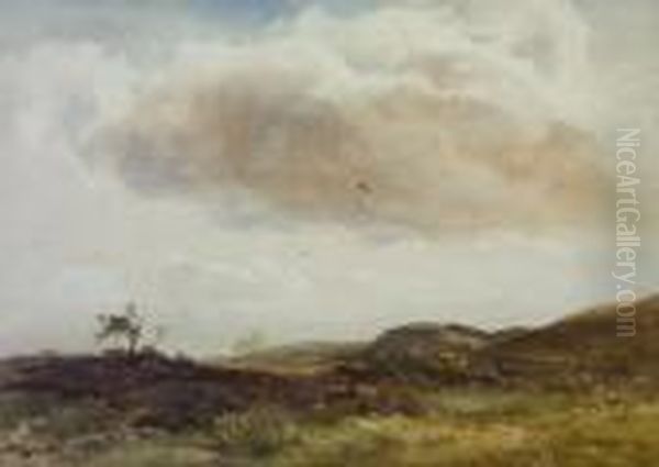 Moorland - view 1