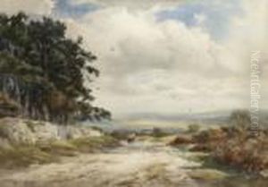 Halsanger Common Road