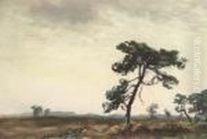 A Windswept Moorland Landscape A Windswept Moorland Landscape