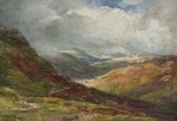 Buttermere - view 1