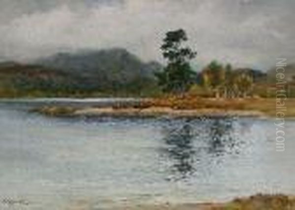 Loch Beinn A Mheadhion Near Glen Affric - view 1
