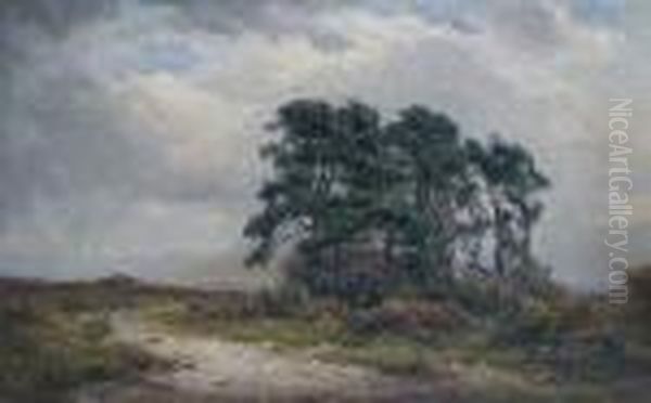 Haldon Hill - view 1