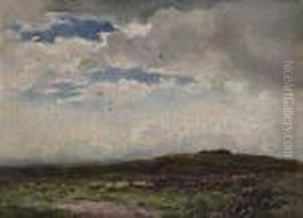 Moorland Pastures - view 1