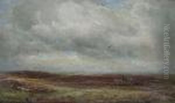 A Moorland Landscape - view 1