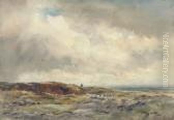 Off To New Pastures - view 1