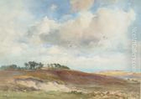 On The Moors Near Teignmouth - view 1