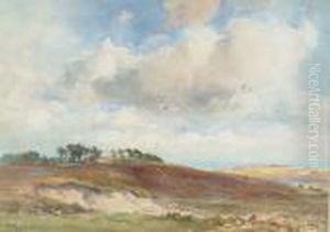 On The Moors Near Teignmouth