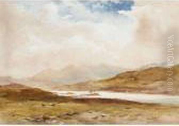View Over A Loch - view 1