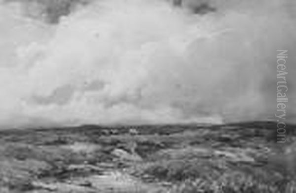 Cloudy Day, Dartmoor, Devon - view 1