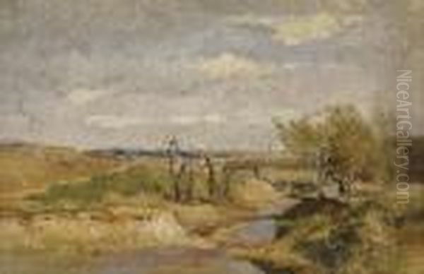 In The Danube Wetlands - view 1