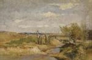 In The Danube Wetlands