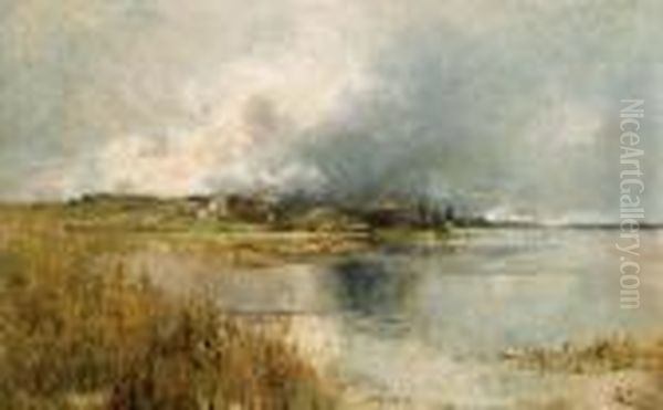 Seenlandschaft - view 1