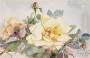 Tea Rose