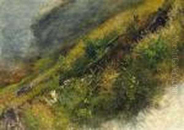 Bergwiese - view 1